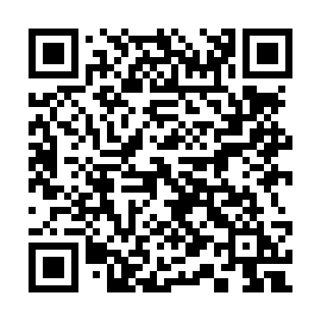 QR code for 319LSI
