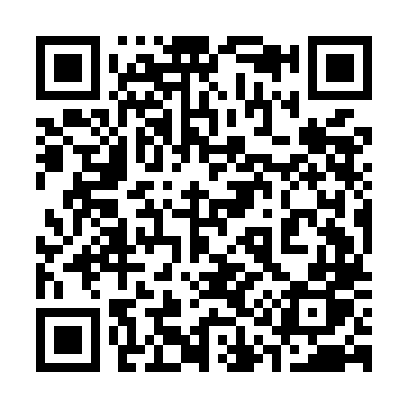 QR code for 319MLP