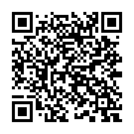 QR code for 319PTM