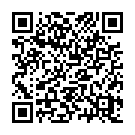 QR code for 333DFX