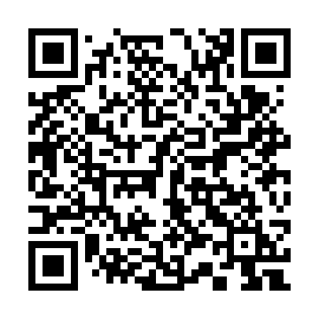 QR code for 333FSI