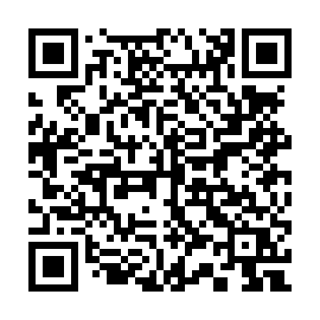 QR code for 333LUR