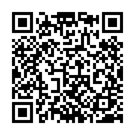 QR code for 333POS