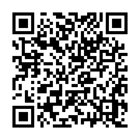 QR code for 333QLZ