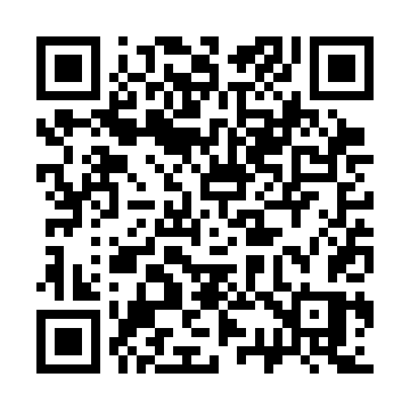 QR code for 333SDS