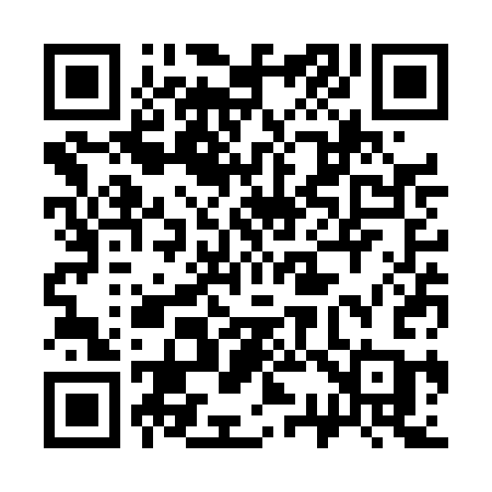 QR code for 333TCC