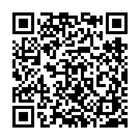 QR code for 333VGC