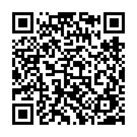 QR code for 333VGD