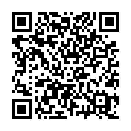 QR code for 333VNE