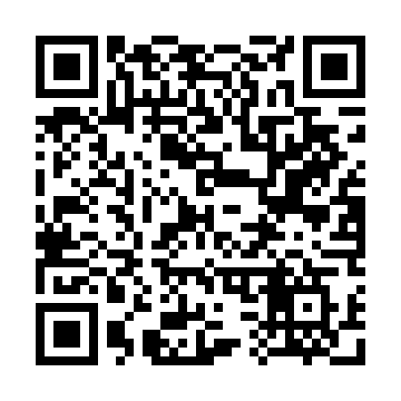 QR code for 334DDW