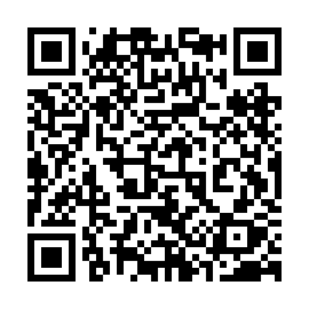 QR code for 335BKX