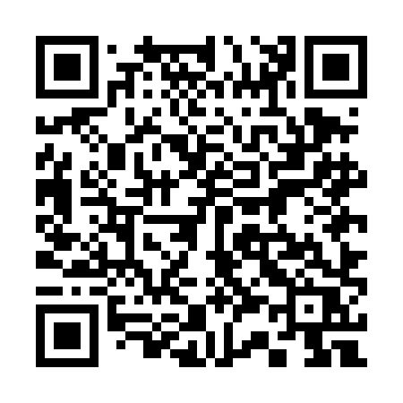 QR code for 335DHR