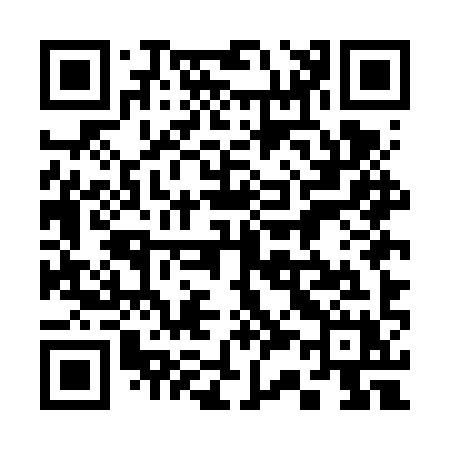 QR code for 335FYX