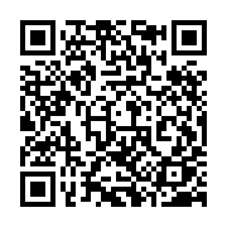 QR code for 335HIP