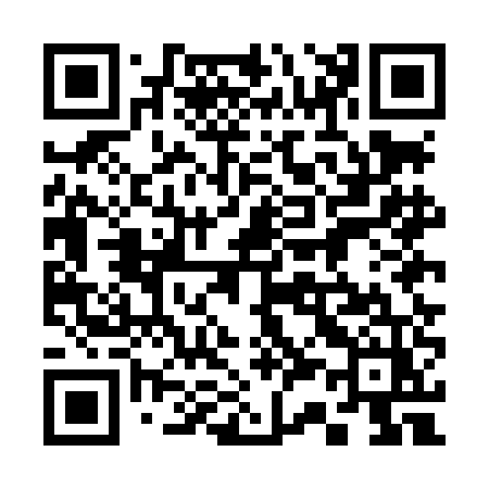 QR code for 335LEZ