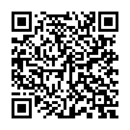QR code for 335MFL