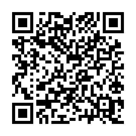 QR code for 335NIE
