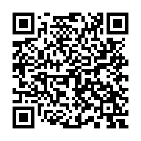 QR code for 335OTO