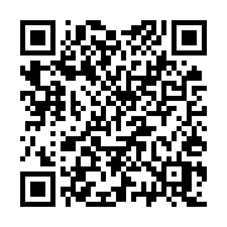 QR code for 335OUT
