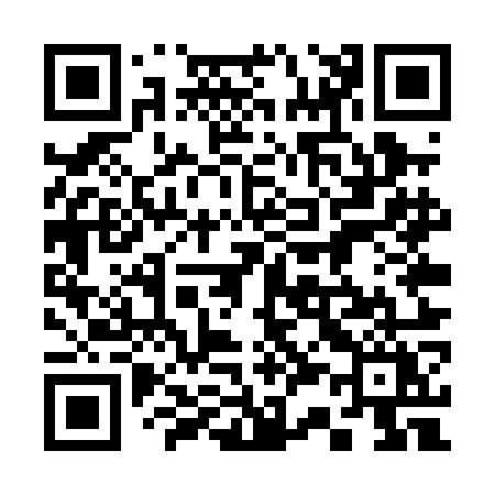 QR code for 335POY