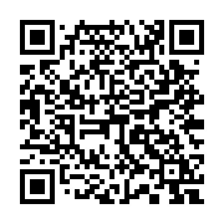 QR code for 335PSY