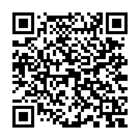 QR code for 335TCX