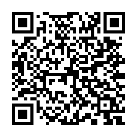 QR code for 335TUT