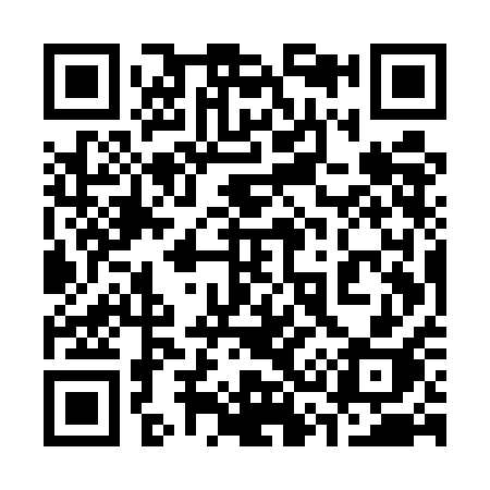 QR code for 335UAH