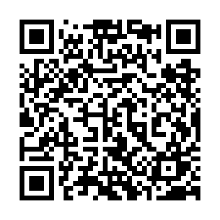 QR code for 335WAW