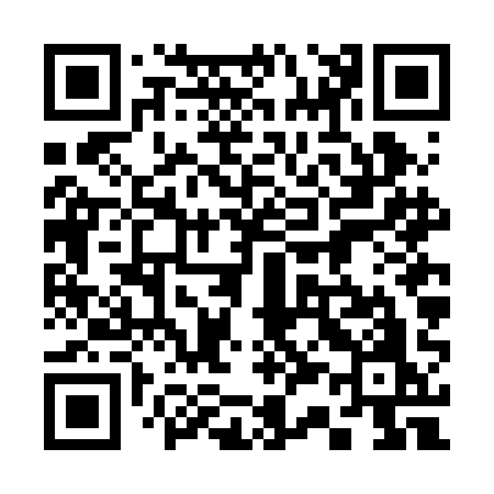 QR code for 336BAO