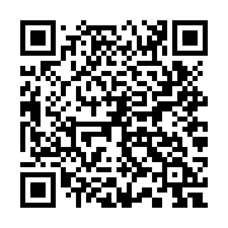 QR code for 336JSF