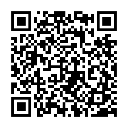 QR code for 336NFS