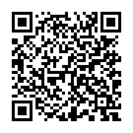 QR code for 336NIV