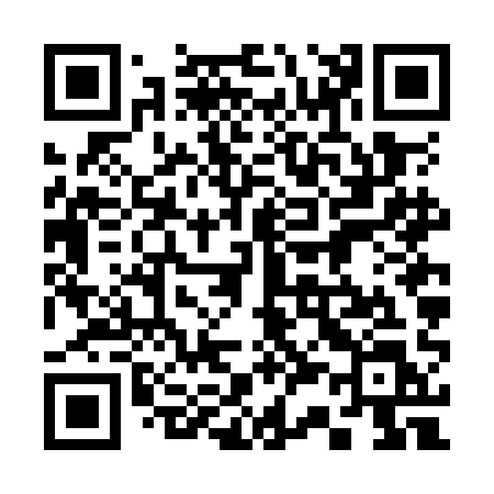 QR code for 336OAL