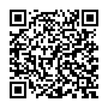 QR code for 336OLR