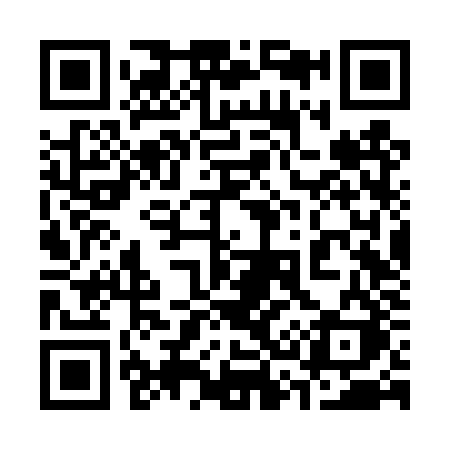 QR code for 336TZK