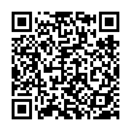 QR code for 336VEI