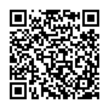 QR code for 338DDL