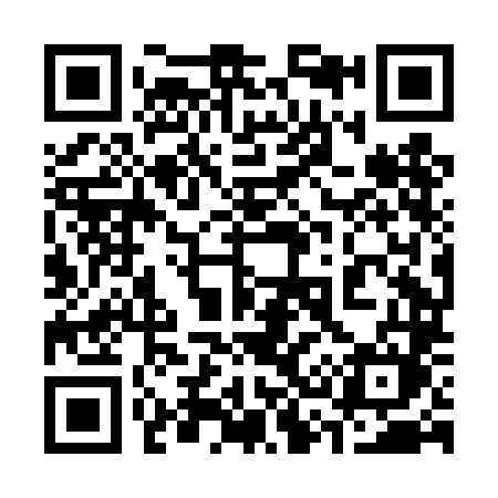 QR code for 338DLM