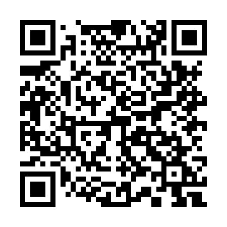 QR code for 338HWG