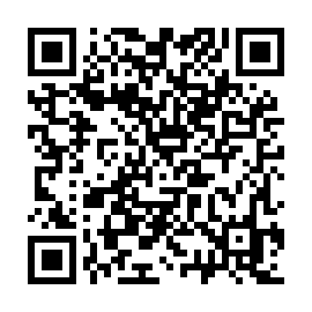 QR code for 338MHO