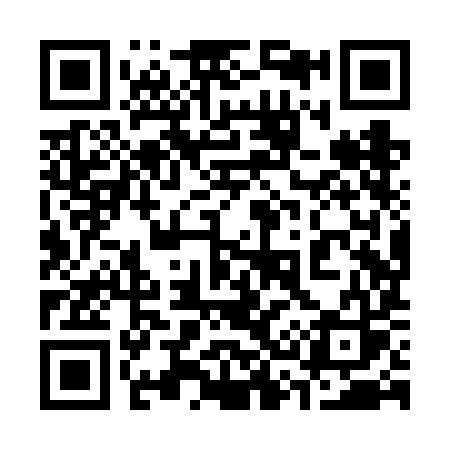 QR code for 338VIS