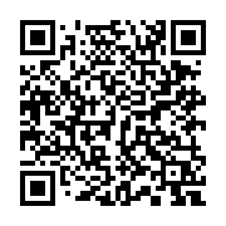 QR code for 339DMP
