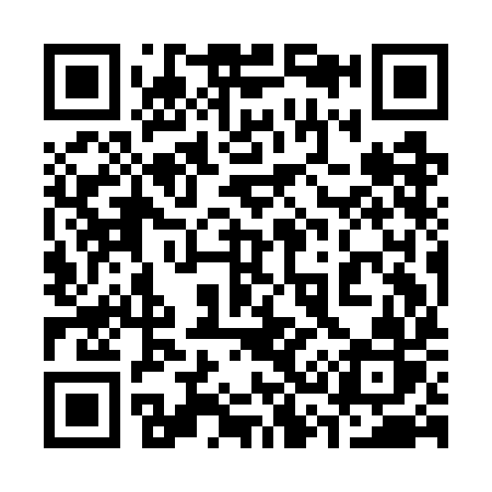 QR code for 339GIR