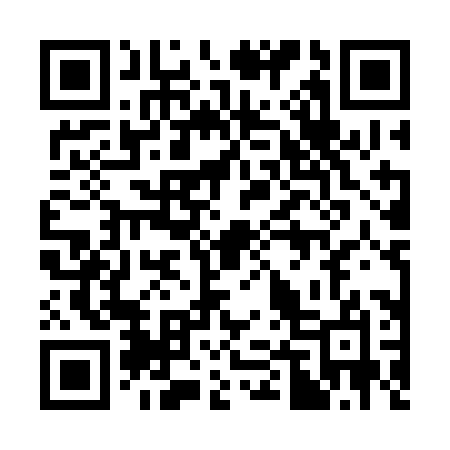 QR code for 343CHO