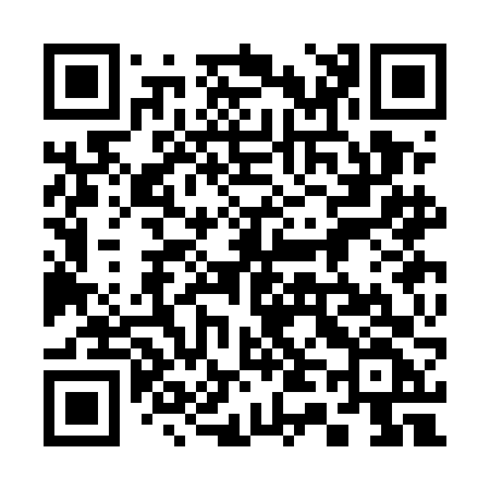 QR code for 343EFF