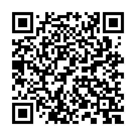 QR code for 358CMS