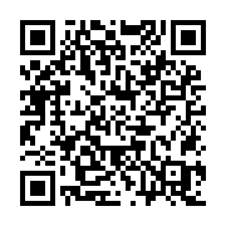 QR code for 369INC