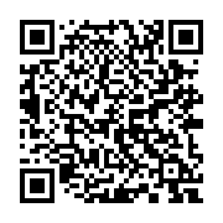 QR code for 369PID