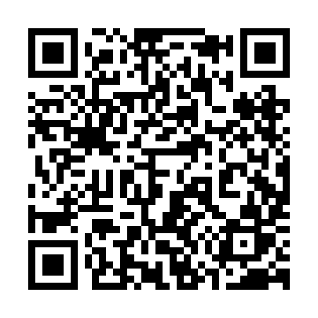 QR code for 370BIR